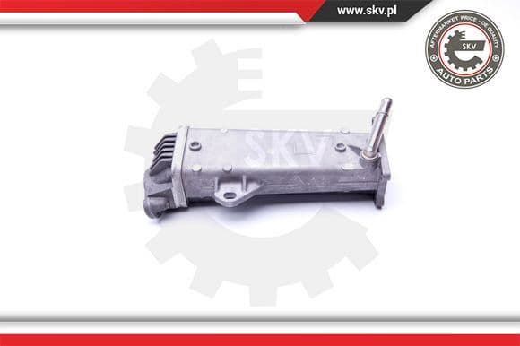 EGR Valve 14SKV191