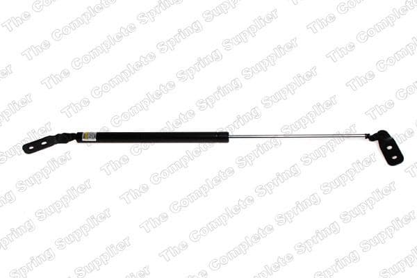 Gas Spring, boot/cargo area 8155427