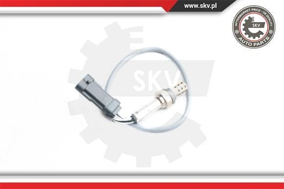 Oxygen Sensor 09SKV098