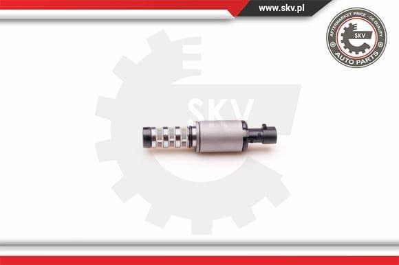Control Valve, camshaft adjustment 39SKV001
