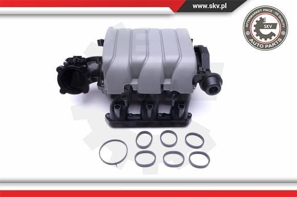 Intake Manifold Module 49SKV002 - image 4