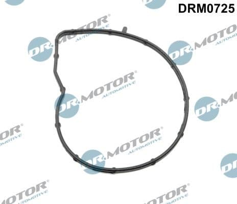 Gasket, water pump DRM0725