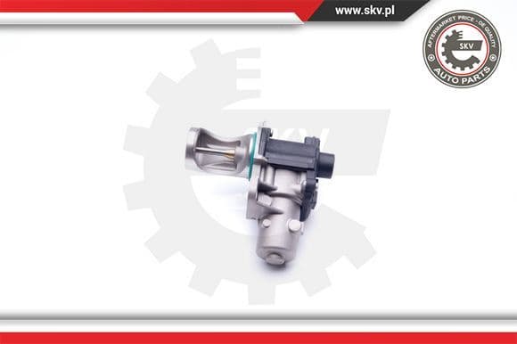 EGR Valve 14SKV172