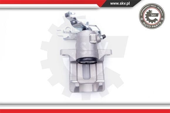 Brake Caliper 42SKV044