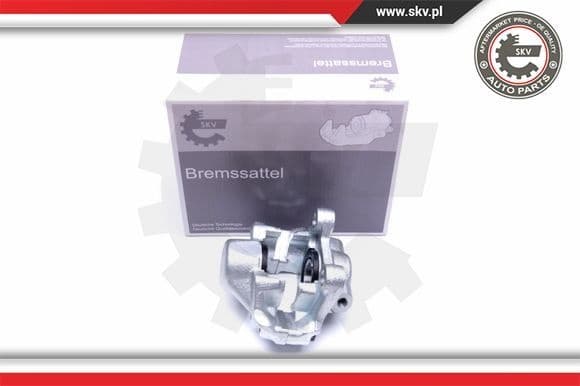 Brake Caliper 42SKV734