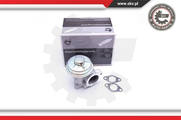 EGR Valve 14SKV092