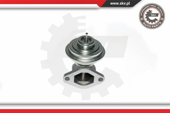 EGR Valve 14SKV049