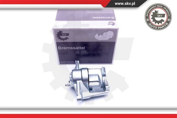 Brake Caliper 42SKV921