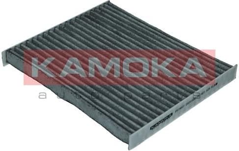 Filter, cabin air F519001