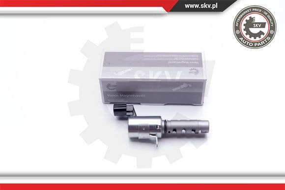 Control Valve, camshaft adjustment 39SKV039