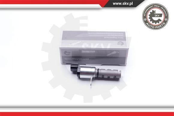 Control Valve, camshaft adjustment 39SKV041
