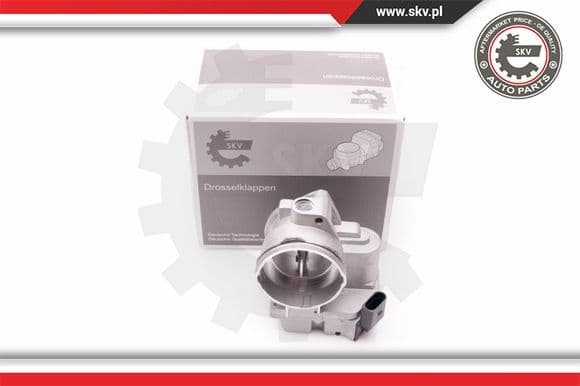 Throttle Body 12SKV062