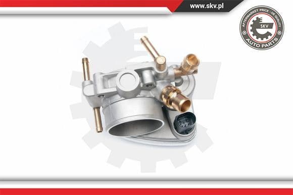 Throttle Body 12SKV049