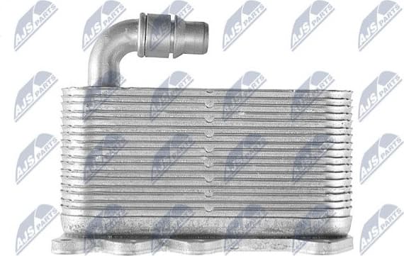 CCL-BM-001 - image 3