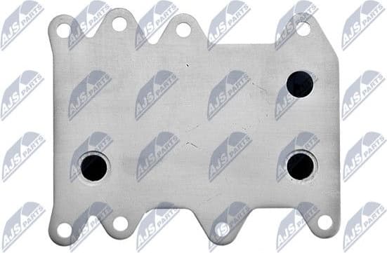 CCL-BM-001 - image 4