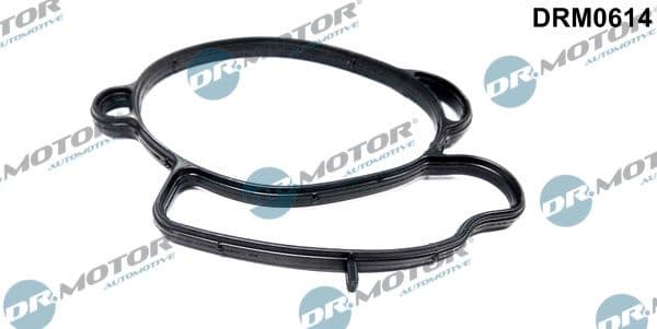 Gasket, throttle body DRM0614
