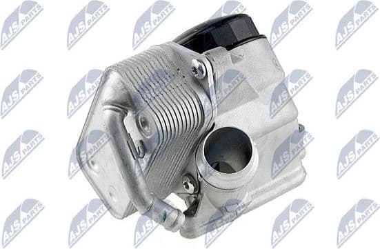 CCL-BM-004 - image 2