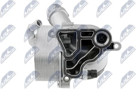 CCL-BM-004 - image 3