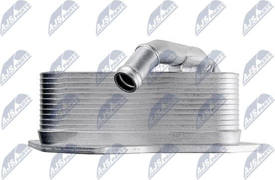 CCL-BM-004A - image 3