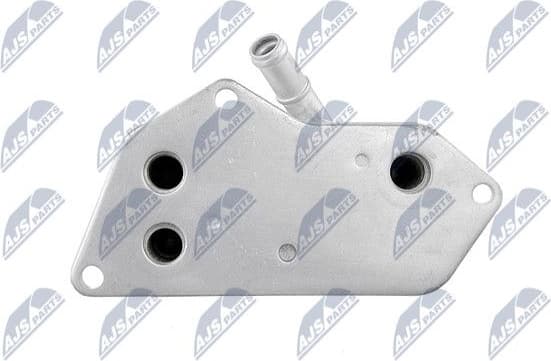 CCL-BM-004A - image 5