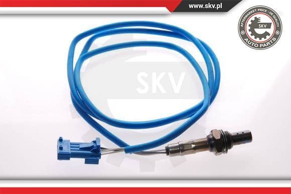 Oxygen Sensor 09SKV039