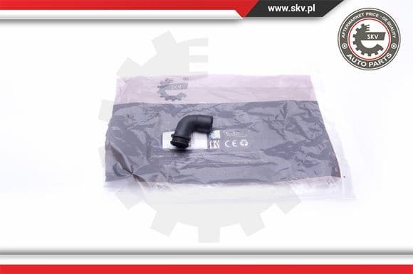 Hose, crankcase ventilation 31SKV127