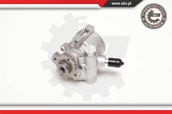 Hydraulic Pump, steering 10SKV178