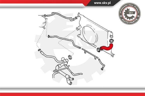 Radiator Hose 24SKV325