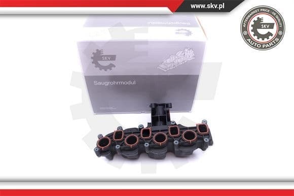 Intake Manifold Module 49SKV008