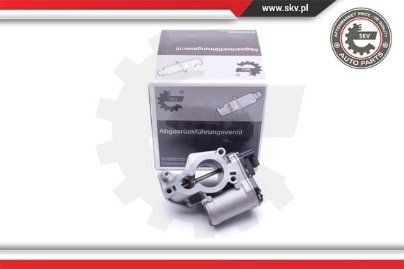 EGR Valve 14SKV184