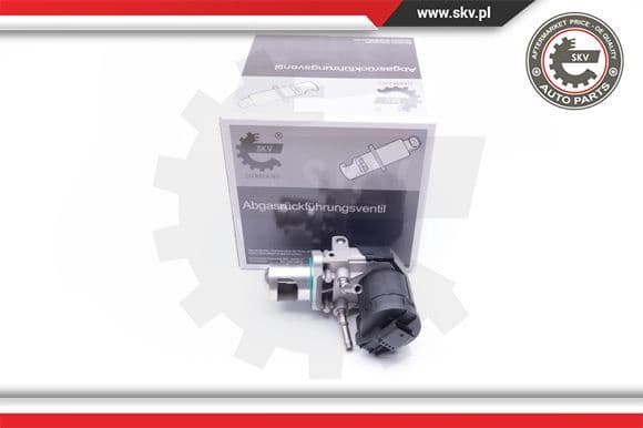 EGR Valve 14SKV169