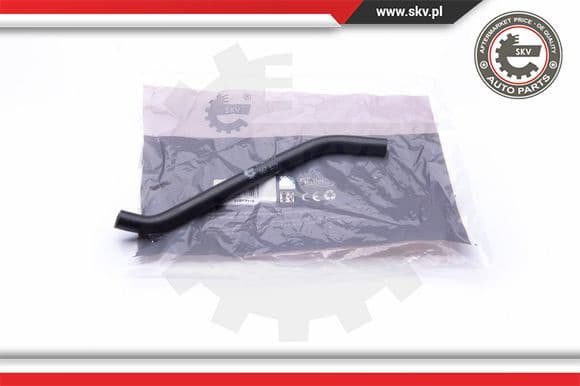 Hose, crankcase ventilation 31SKV119