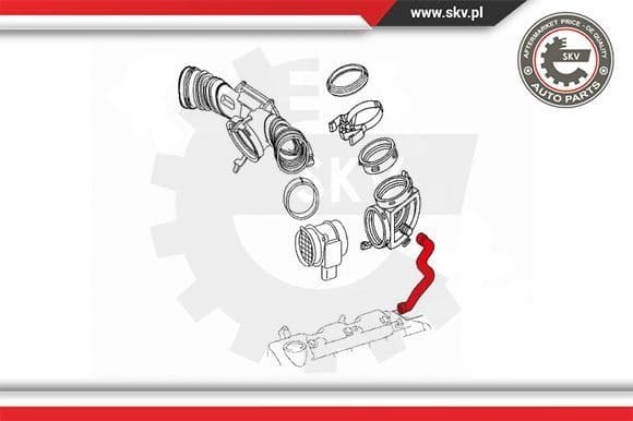 Hose, crankcase ventilation 31SKV121 - image 4