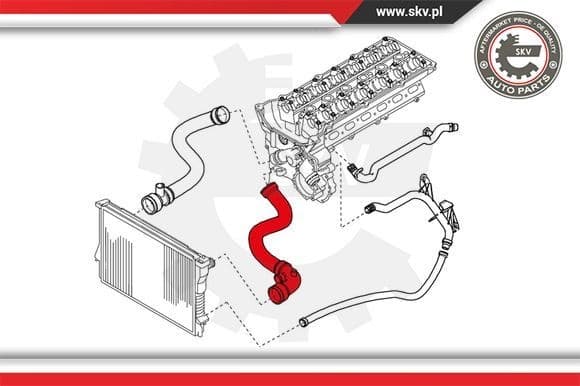 Radiator Hose 24SKV252 - image 4