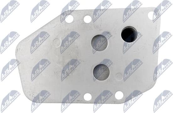 CCL-BM-003 - image 5