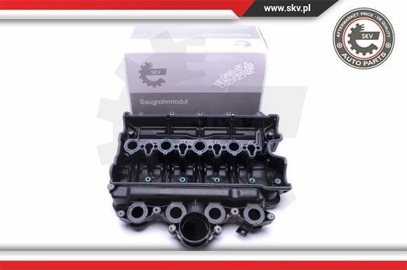 Intake Manifold Module 49SKV021