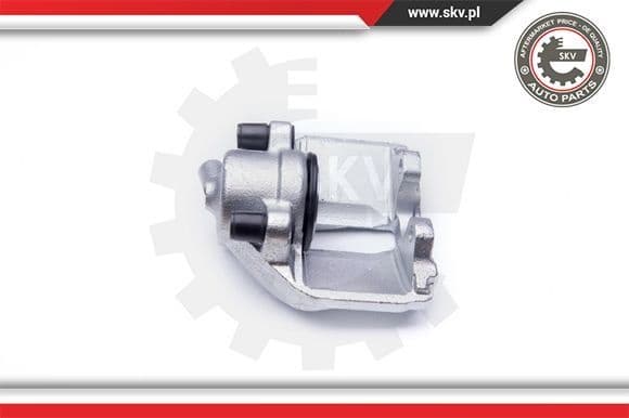 Brake Caliper 42SKV031