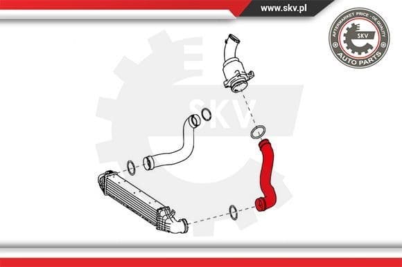 Charge Air Hose 24SKV629 - image 6