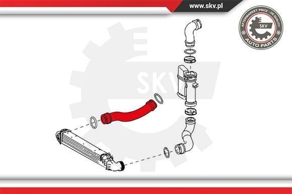 Charge Air Hose 24SKV631 - image 4