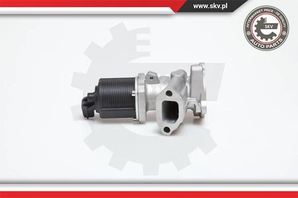 EGR Valve 14SKV031