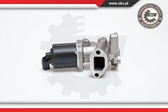 EGR Valve 14SKV014