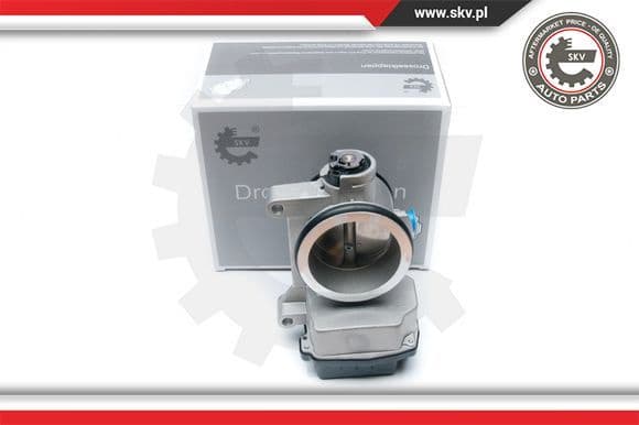 Throttle Body 12SKV051