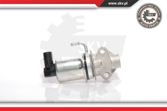 EGR Valve 14SKV018