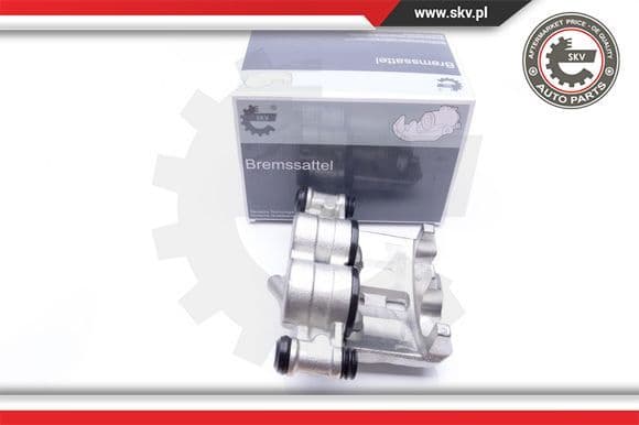 Brake Caliper 42SKV332