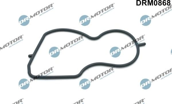 Gasket, vacuum pump DRM0868