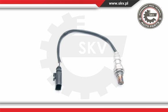 Oxygen Sensor 09SKV697