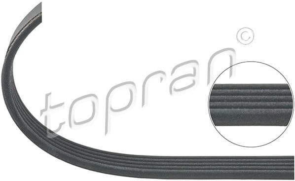 V-ribbed Belt 401 218