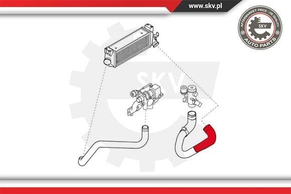 Charge Air Hose 24SKV778 - image 4