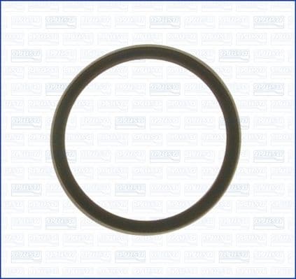 Seal, thermostat 00975700