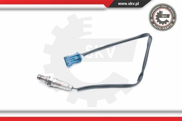 Oxygen Sensor 09SKV703
